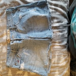 Hollister Distressed Jean Shorts